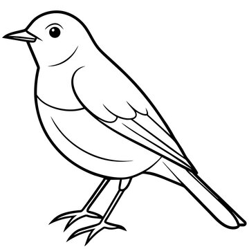 recommend clip art: robin line art vector
