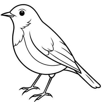 recommend clip art: robin line art vector