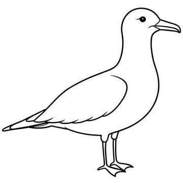 recommend clip art: seagull line art vector
