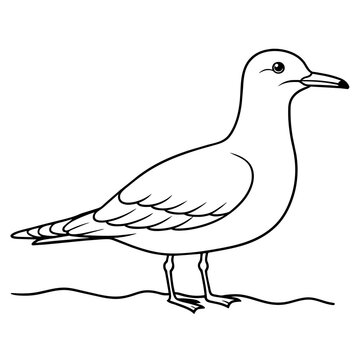 recommend clip art: seagull line art vector