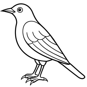 recommend clip art: starling line art vector