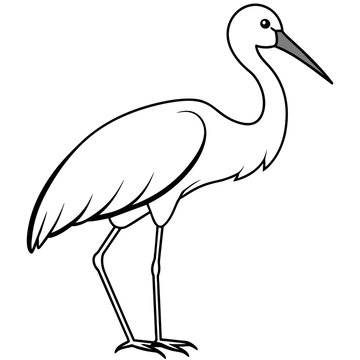 recommend clip art: stork line art vector