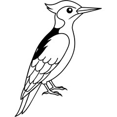 woodpecker line art vector 