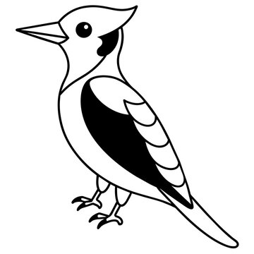 recommend clip art: woodpecker line art vector 