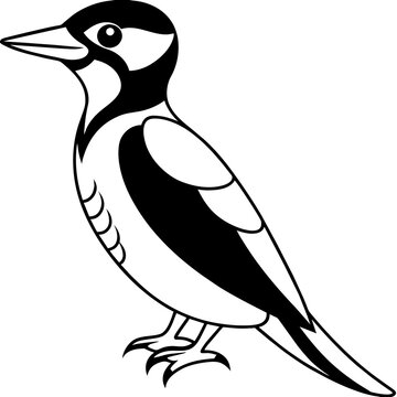 recommend clip art: woodpecker line art vector 