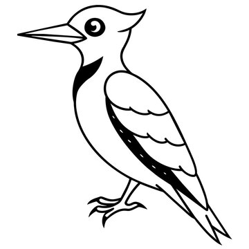 recommend clip art: woodpecker line art vector 