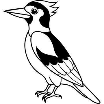 recommend clip art: woodpecker line art vector 