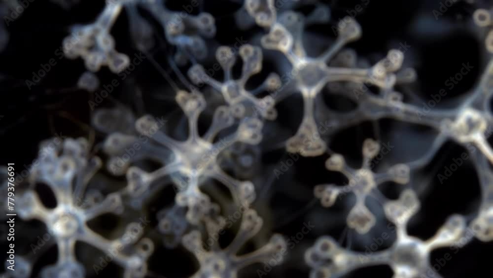 Poster an intricate fractallike pattern of small intricately detailed sporangia unfold on a microscopic sca