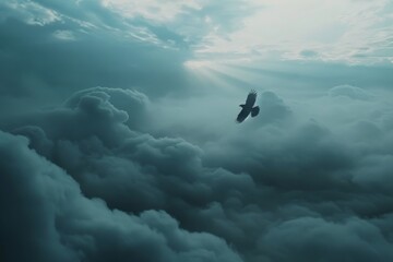 A lone bird soaring above stormy clouds symbolizing freedom and strength. - obrazy, fototapety, plakaty