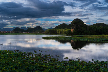 Fototapeta premium A lotus pond at sunset