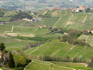 Fototapeta na wymiar Amazing landscape of the vineyards of Langhe in Piemonte in Italy during spring time. The wine route. An Unesco World Heritage. Natural contest. Rows of vineyards