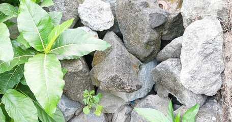 Natural stone building