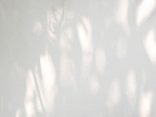 Natural leaves shadow on white cement wall, overlay effect for photo, mock up, product, wall art, design presentation