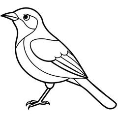    Bird vector illustration with line art.