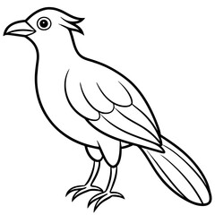    Bird vector illustration with line art.