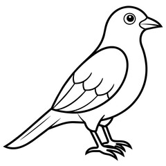    Bird vector illustration with line art.

