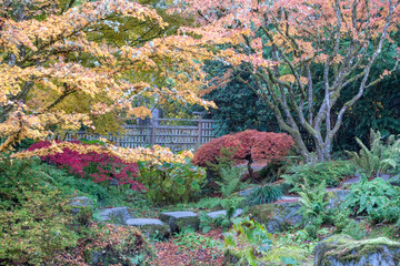Autumn's Splendid Tapestry: A Symphony of Fall Colors