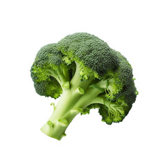 Broccoli isolated on white background with clipping path