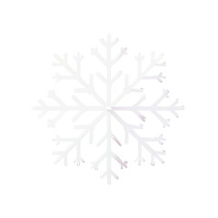 Snowflake on a Transparent Background