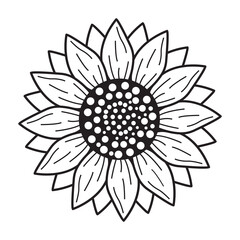 Sunflower Artline Vector, Sunflower Sketch Design,