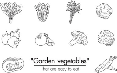 Hand drawn black line drawings on a white background of various vegetables that are easy to eat and also readily available for healthy or vegetarian presentations.