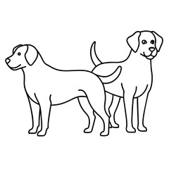 Dog vector