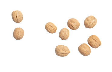 Walnuts isolated white background