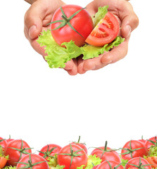 Hand holding fresh tomato isolated
