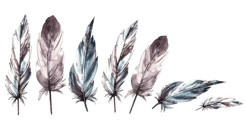 Watercolor painted monochrome feathers arrangement. Bird feathers with graphic line, natural ornaments. Real animal wings dynamic composition, illustration. Clipart for print Isolated white background