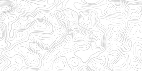 Vector monochrome seamless pattern, curved lines, black & white background. Abstract dynamical rippled surface, stock graphic illustration