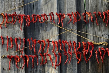 Red peppers. In Korean families, red peppers are dried in autumn to make natural salads.