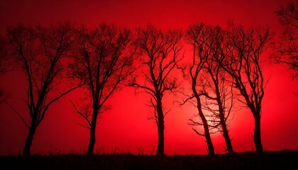 sunset in the forest, Silhouettes of trees on a red background. Horror or ecological concept. Red light and silhouette of trees.