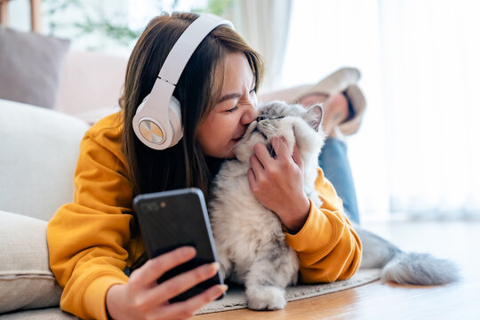 Spending your free time at home with your cat. young asian woman in headphones, with mobile phone, lies on floor in living room, with fluffy Maine Coon cat, listens to music