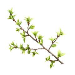 Obraz premium A branch with verdant leaves