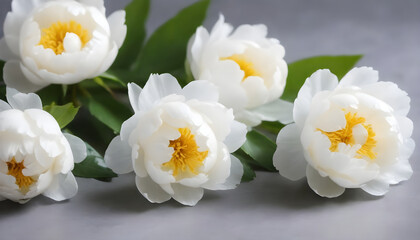 Fresh white peony flowers on a light gray table 4