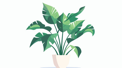 Plant on pot illustration plant vector isolated design