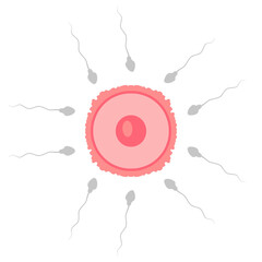 Sperm Cell to Egg Cell Icons