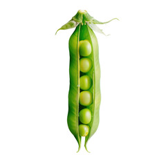 A pea pod with green peas