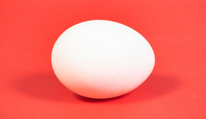 One white chicken egg on red background close-up - 779426097