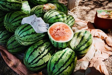 watermelons on the market