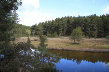 Cañon del Rio Lobos