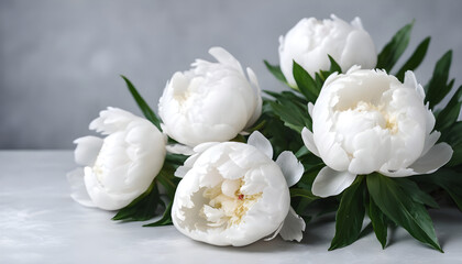 Obraz na płótnie Canvas Fresh white peony flowers on a light gray table 3