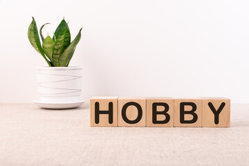 HOBBY word written on wooden blocks with a flower