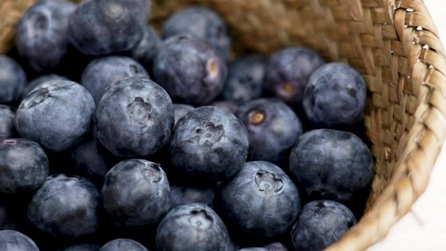 Serving fresh blueberry. Delicious organic blue bilberry close up. Natural antioxidants source