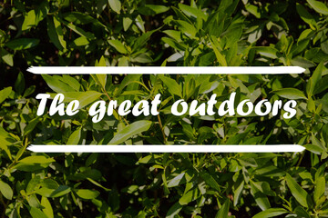 Inspirational Quote - The great outdoors with leaves in background