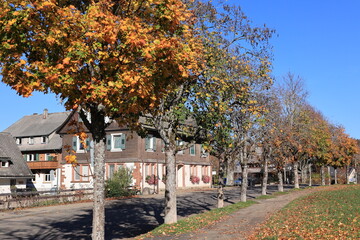 Blick auf die Gemeinde Hinterzarten in Schwarzwald