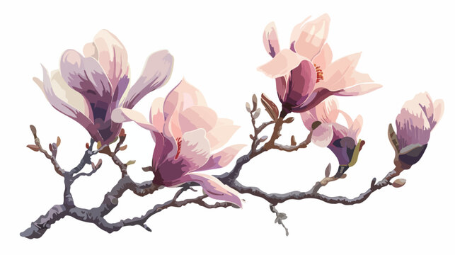 Magnolia branch  freehand style painting flat vector
