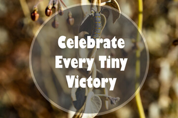 Inspiration motivation quote about life - Celebrate every tiny victory