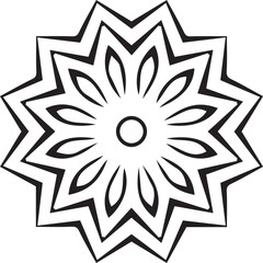 Beautiful mandala art, vector mandala design