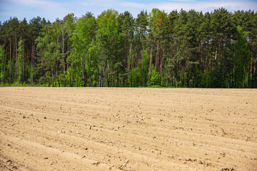Beautiful view over a freshly plowed agricultural land on the edge of a forest edge with a blue sky.